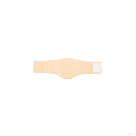 Tabla anatómica con protector de cintura estándar MD- TA101